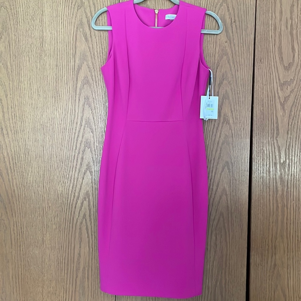 NBW! Beautiful Color Calvin Klein Dress